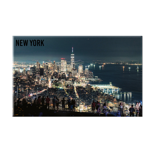 New York -  120 NY 1042